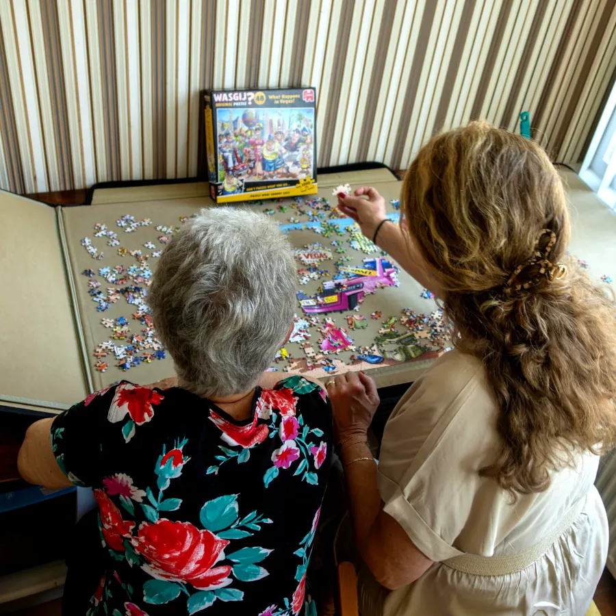 samen puzzelen